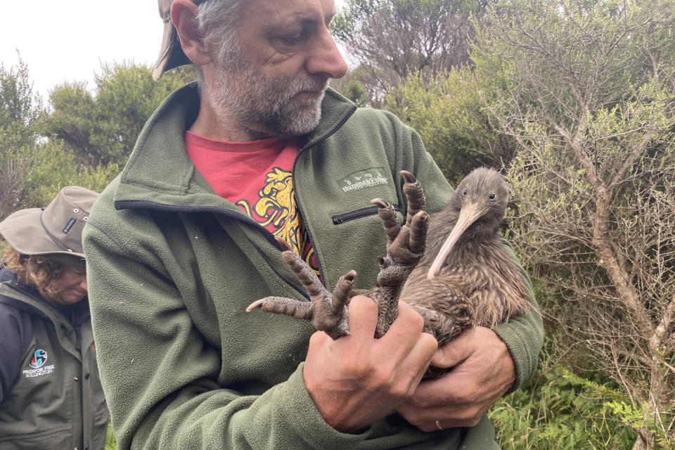 Holding a Kiwi